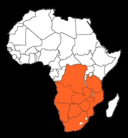 Octane Transport network coverage across Zambia and the SADC region